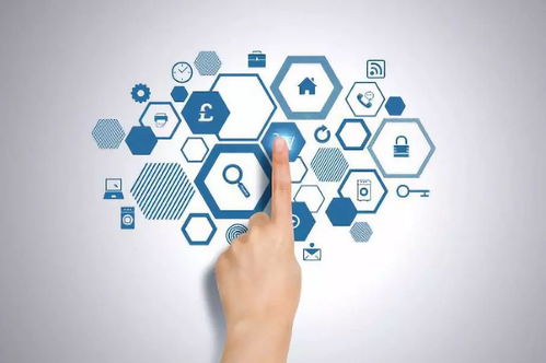 健康管理與咨詢 掌握科學(xué)方法，擁抱優(yōu)質(zhì)生活